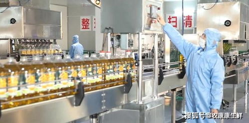 第23届中国农产品加工业投资贸易洽谈会即将在驻马店隆重举行